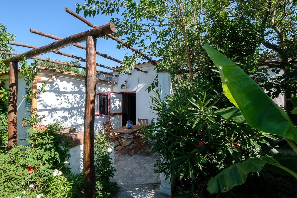 Aparthotel La Rosa Dei Venti Procida Zewnętrze zdjęcie