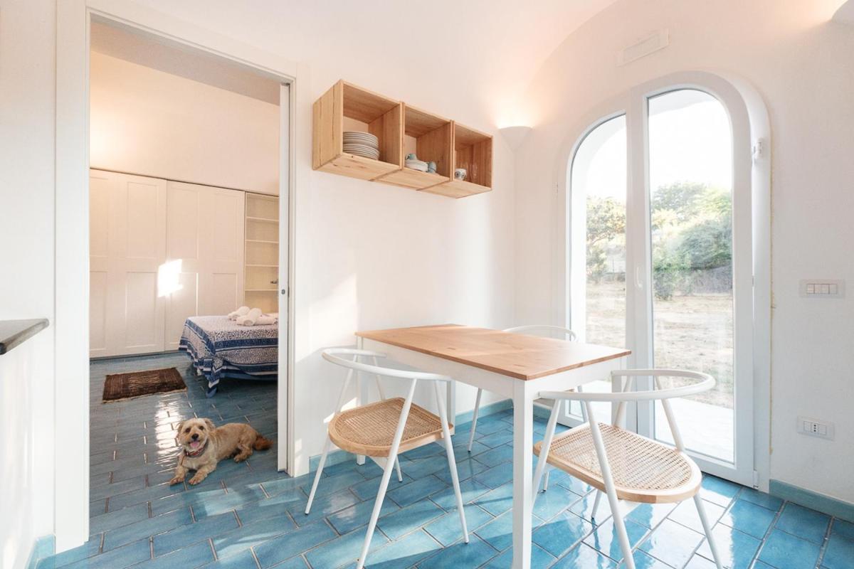 Aparthotel La Rosa Dei Venti Procida Zewnętrze zdjęcie