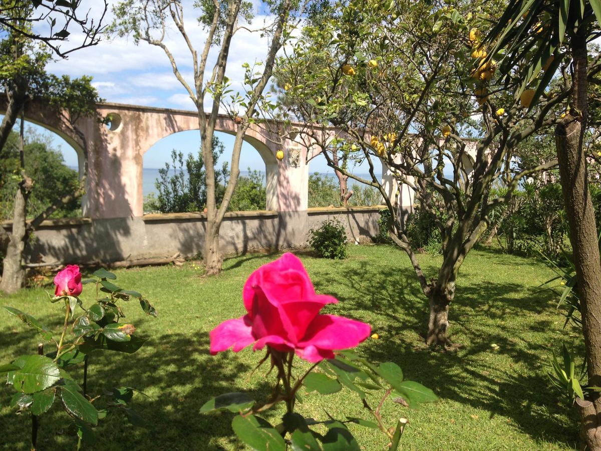 Aparthotel La Rosa Dei Venti Procida Zewnętrze zdjęcie